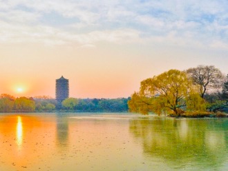 伟易博(中国区)官方网站