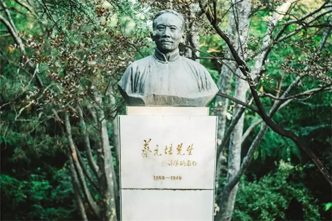 1136D3 1136D3