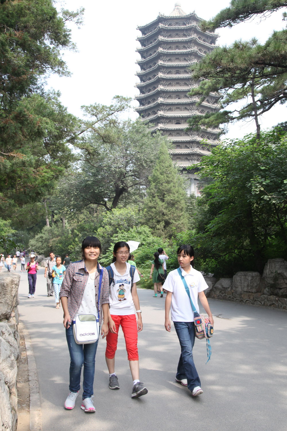 伟易博(中国区)官方网站