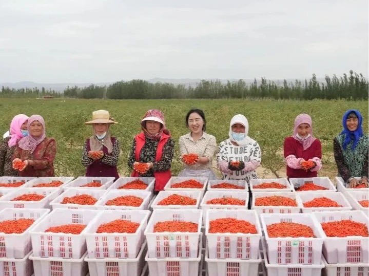 伟易博(中国区)官方网站