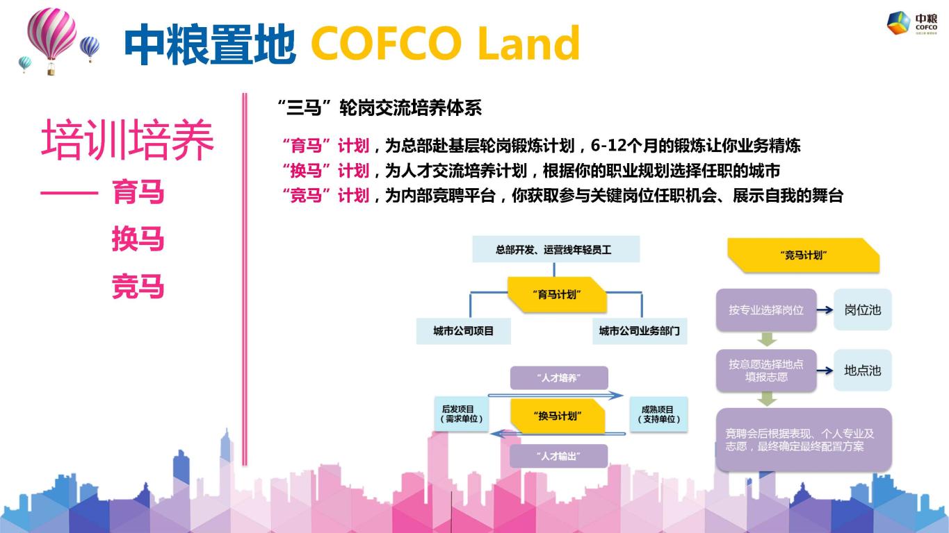 94CF378D0703702A96E2C5CC08D_EC3FF412_19A1E