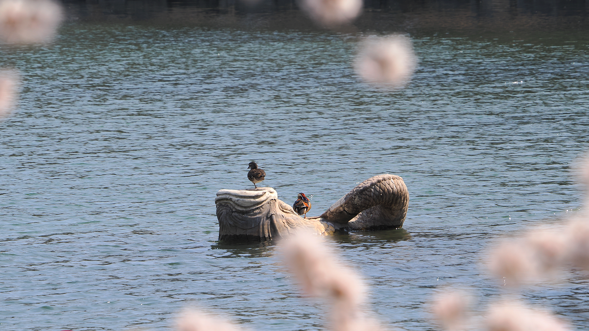 伟易博(中国区)官方网站