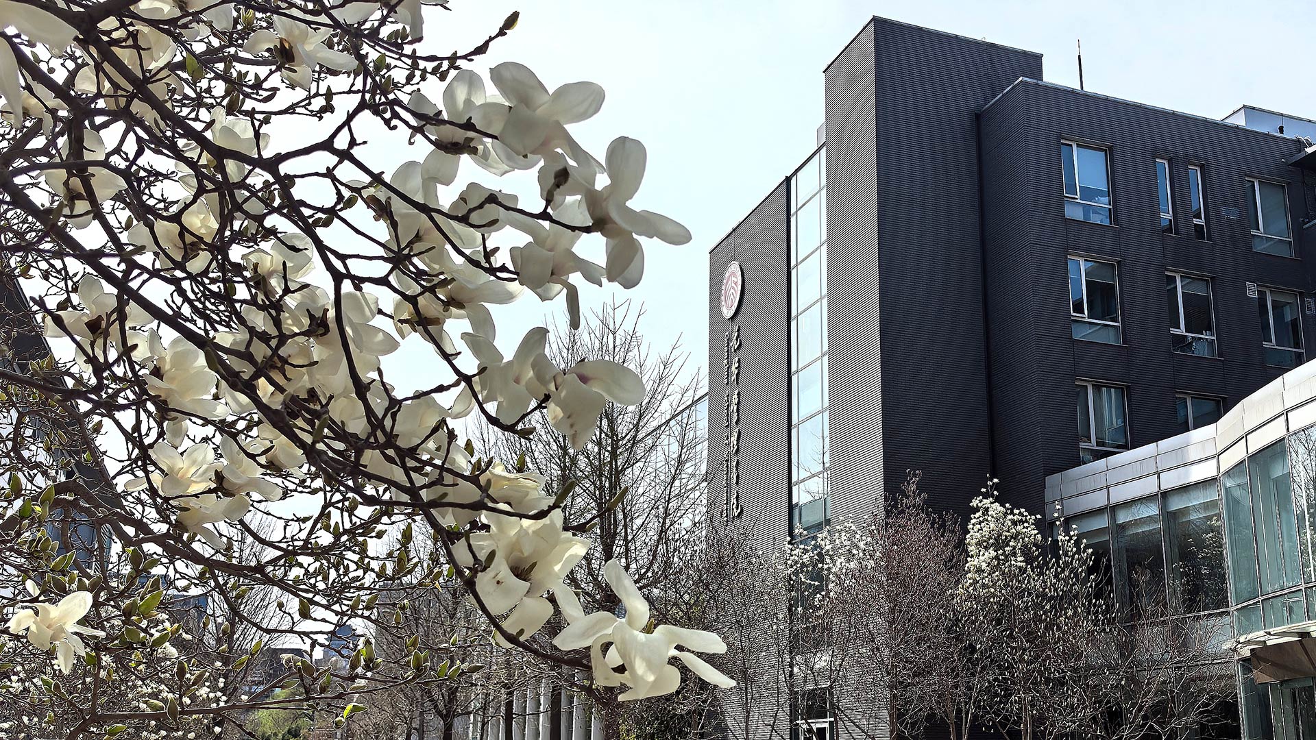 伟易博(中国区)官方网站